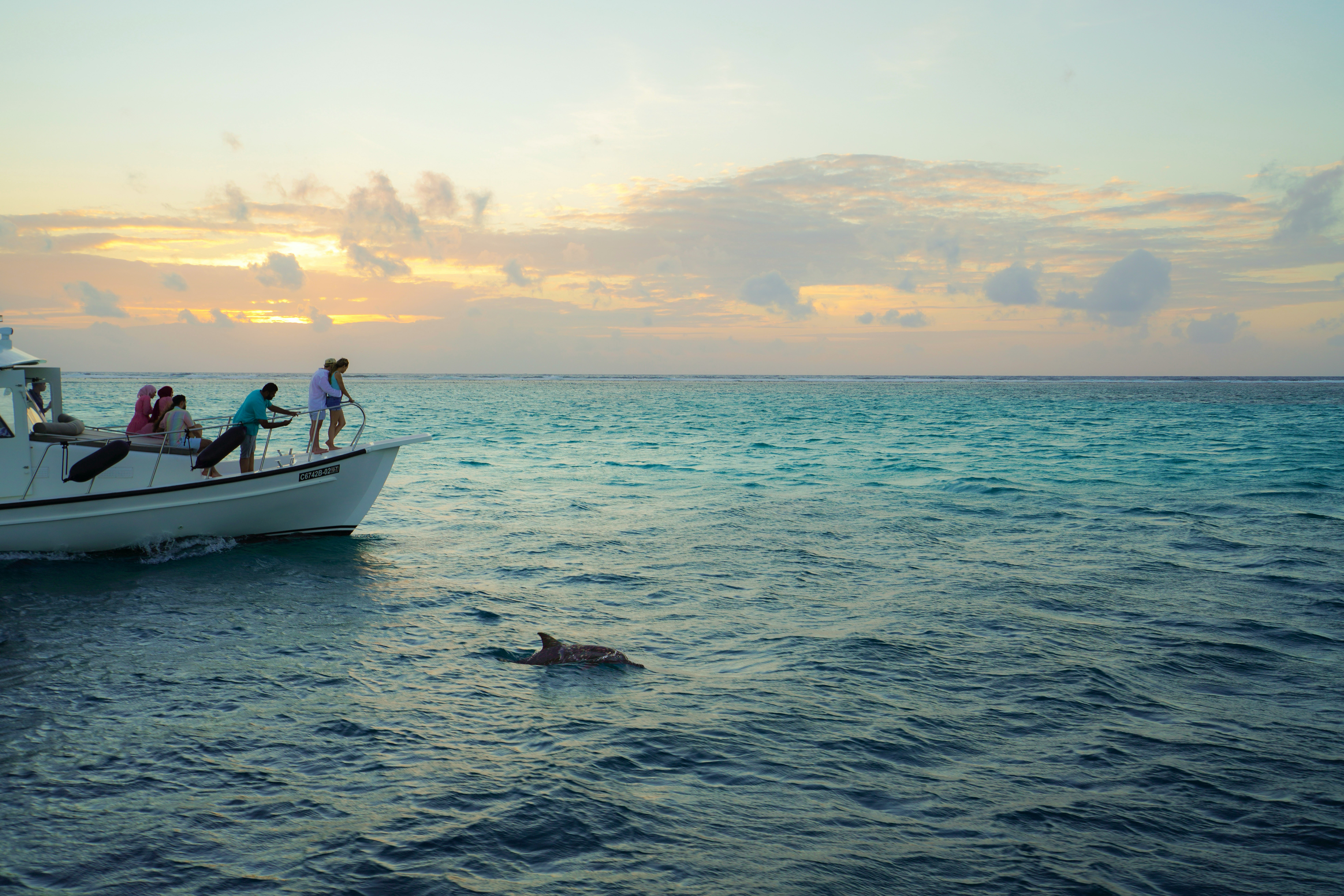 Things To Do Marine Adventures 30A